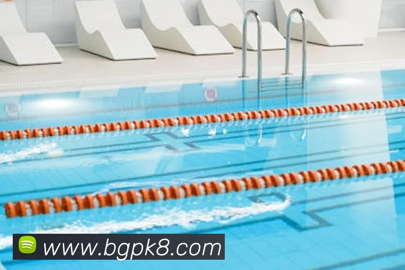 凯发K8APP 封面图